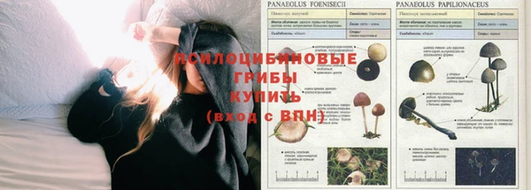 эйфоретик Армянск