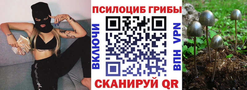Псилоцибиновые грибы Magic Shrooms  ссылка на мегу рабочий сайт  Кологрив  хочу наркоту 