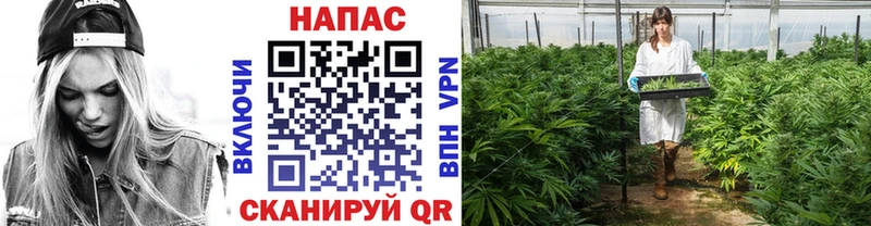 ОМГ ОМГ   где купить наркотик  Кологрив  Каннабис Amnesia 